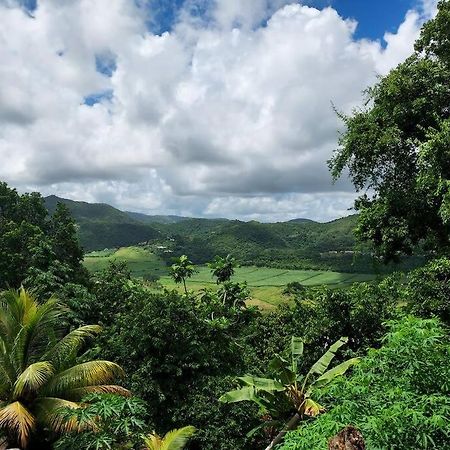 Appartement T2 Le Vallon Au Marin Martinique Le Marin Bagian luar foto